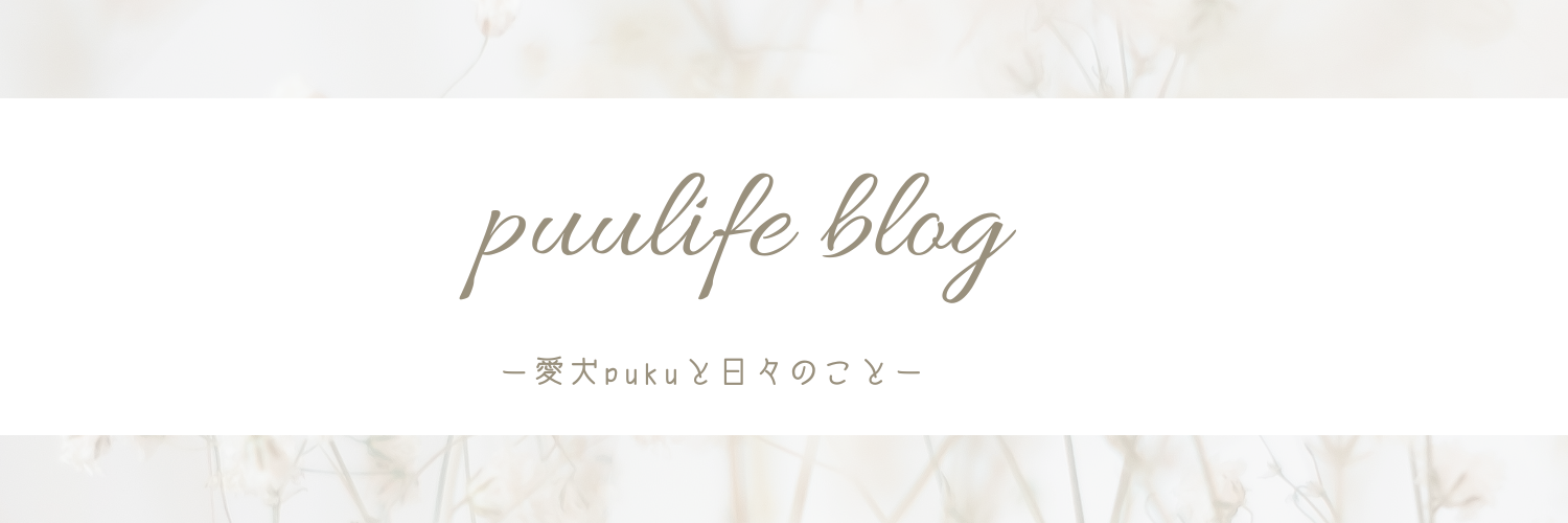 puulife blog